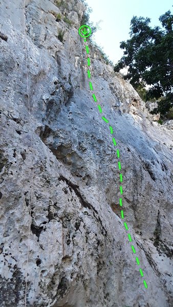 Sendero Luminoso in green.