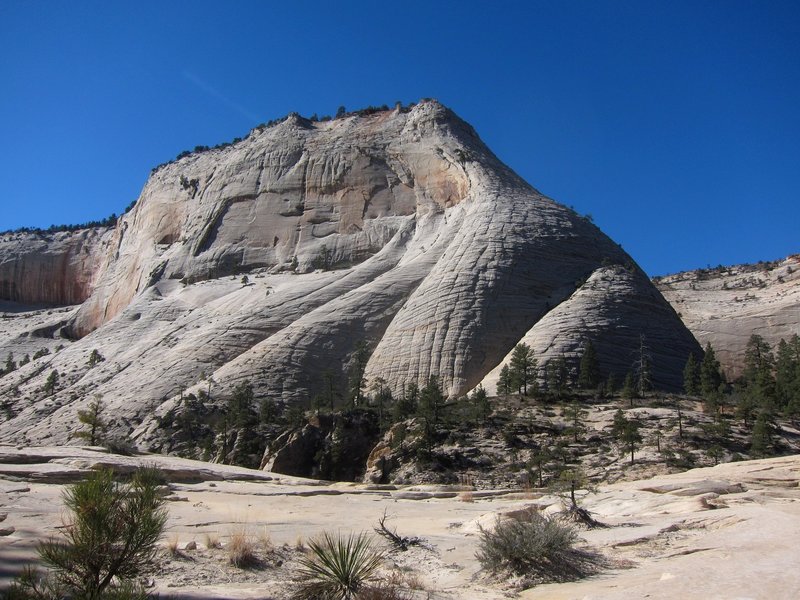 East side of Cathedral Mountain with the NE buttress on looker's right (shade/sun line).