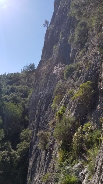 A huge thank you to the developers that made the wall go from vegetation to quality climbing.