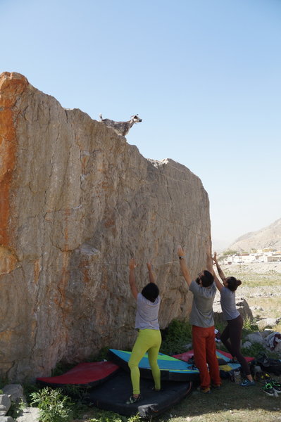 Spotting the OGs of the bouldering game
