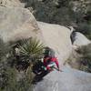 Scrambling to the base of Dairy Queen Wall - Left Side, Joshua Tree NP