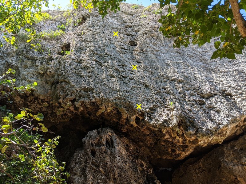 Looking up at Abrasions from the ground