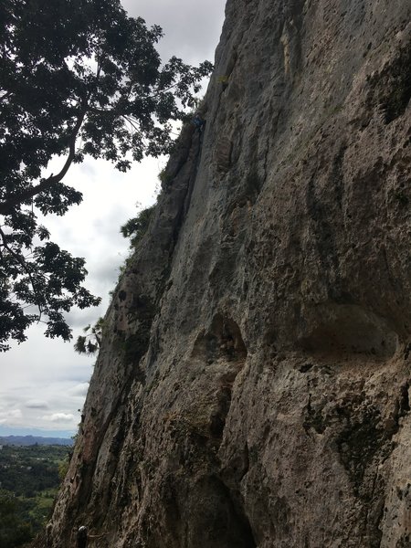 Claudia making her way up the route