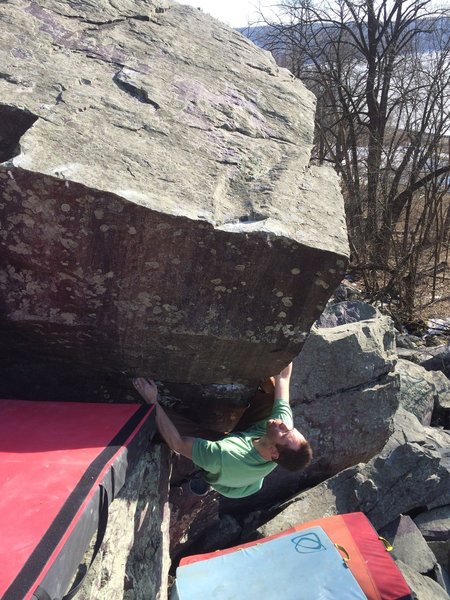 Will Mahon at the start of Rubik's Groove.