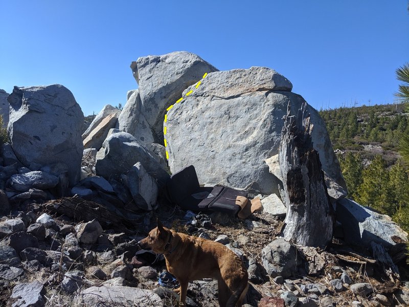 Flakey granite; solid dog