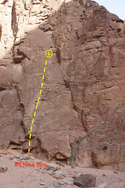 Route "New-bee"