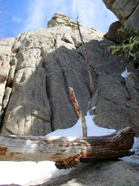 Pitch 1 starts at the dead snag.
