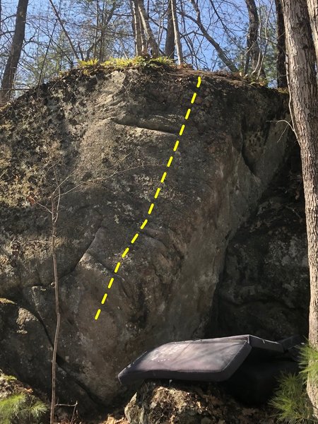 Teaberry Arete