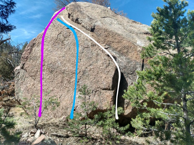 Purple - COVID-19 Contagion. Blue - Flatten the Curve. White - Not Dead Yet.