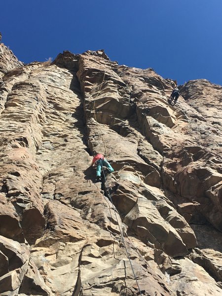 Following on Grape Ape, trailing a second rope for the rappel