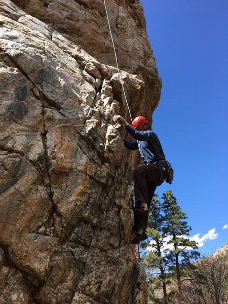 Near the bottom