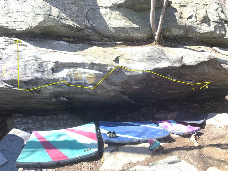 Test Your Carpet When it Beeps - V5-