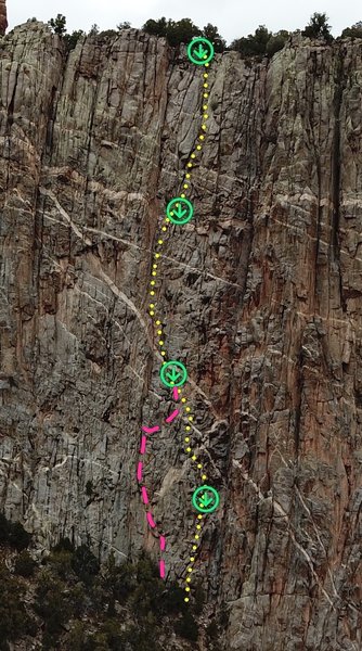 Paw Prints - yellow.
<br>
Persistence of Loss - pink.