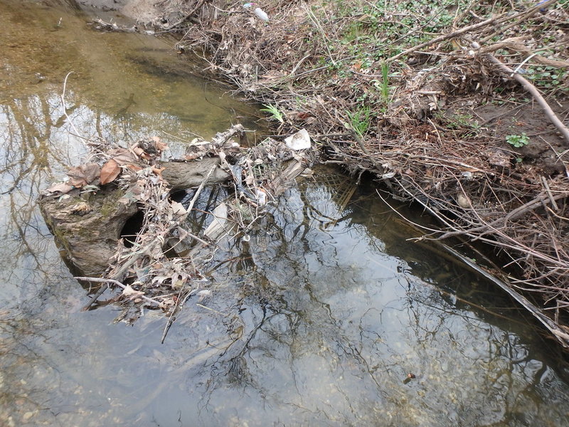 follow creek to the short cliffbands