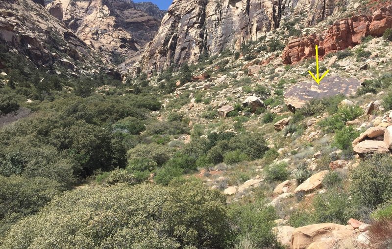 When the trail passes this boulder, turn left: the top of Get Moist is visible through the trees