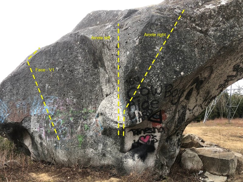 Buffalo rock