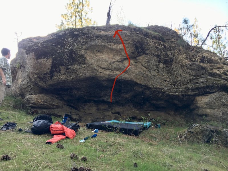 In case you have trouble finding it. Looks like a giant's eyebrow.