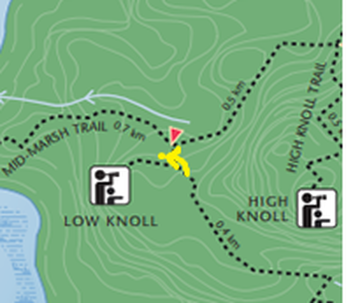 The boulder is right at the intersection of low knoll and the main trail. if you carry on about 10 meters bush whacking you should find it slightly West from the intersection.