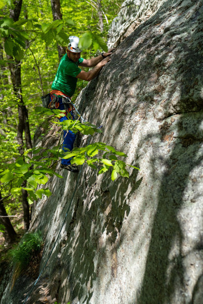 Forrest Leading