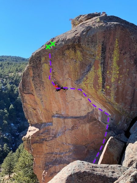 The purple line is the topo for Yellar Belly.