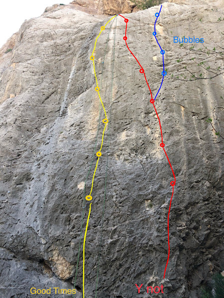 Yellow: Good Times
<br>
Red: Y Not
<br>
Blue: Bubble