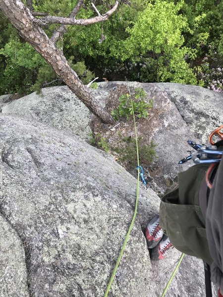 Looking down at ledge from anchors.