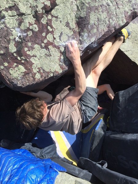 Ben, Rareity Roof.