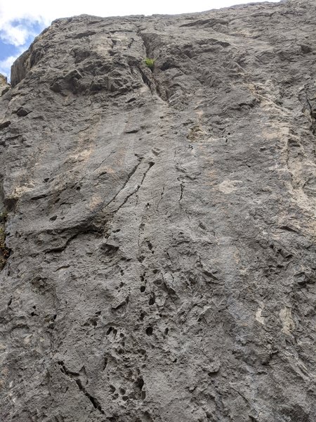 Looking up the bolt line of War Path from the base.