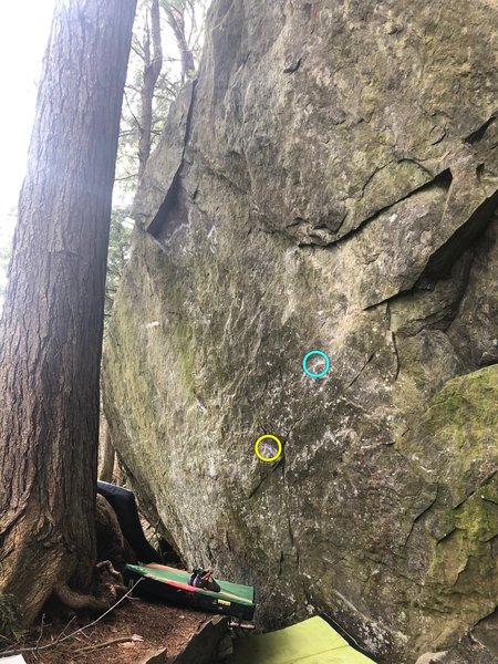 yellow low? turq regular start?
