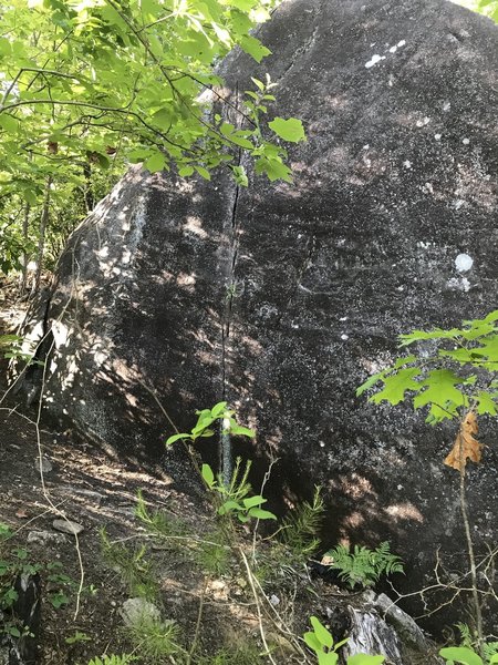 The main face of the boulder, Nausea is the obvious seam.