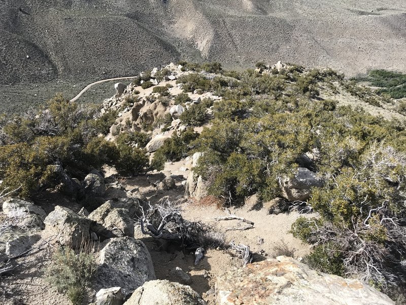 Typical terrain on lower section of North Ridge (starting from Pine Creek Road.)
