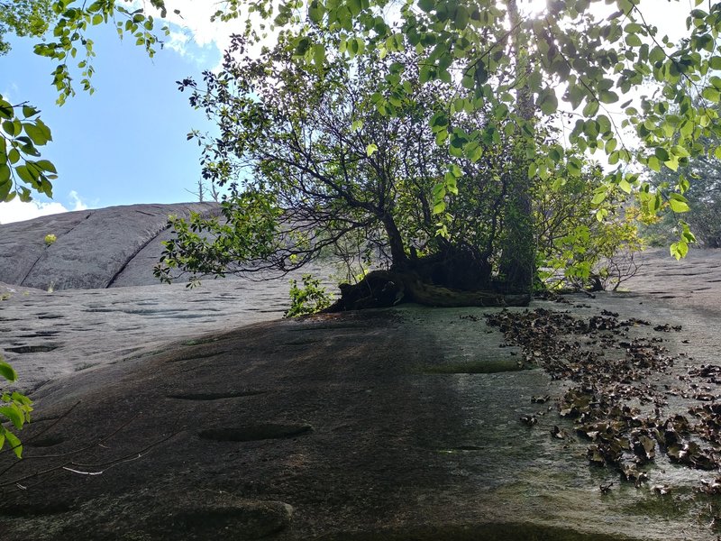 Pitch 1. Start to the right of the lichen streak and work left. At least 2 good tricam placements on the way across. I found that traversing beneath the belay ledge and then moving up directly at the left end was secure and had good feet