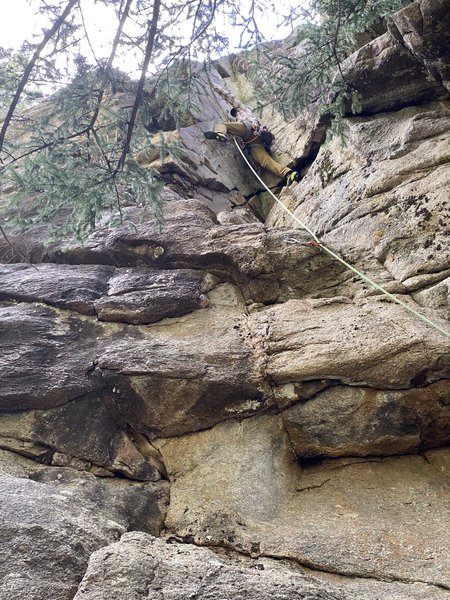 Aaron S. Sending Trickster In Black.