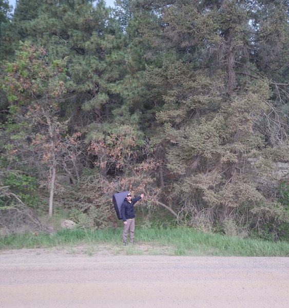 We found this to be the best place to turn off, just South of the Y-shaped gully near a large pine tree (to my left). From here, it is a clear, straight shot to the boulder. You can kind of see a pullout area where I am standing.