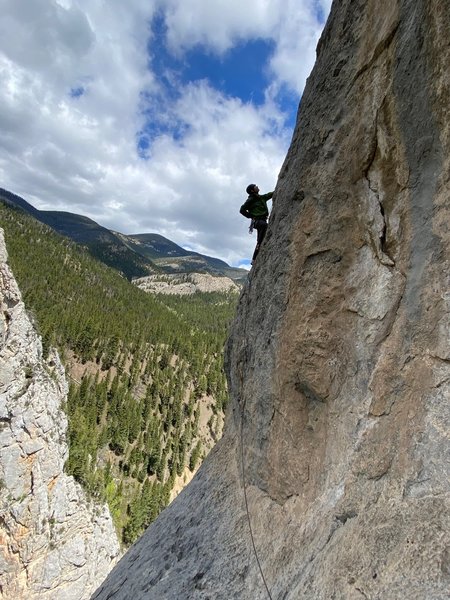 Kenley on the 11a pitch