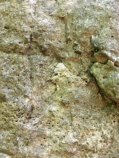 Alien feature.