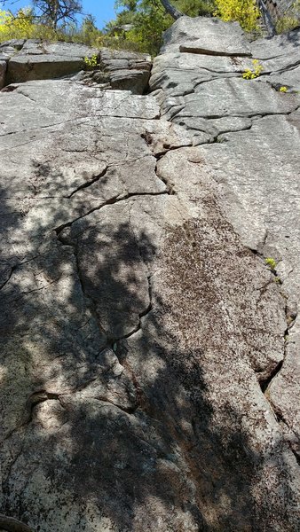 the zig-zagging cracks of Lichen Cream Cheese