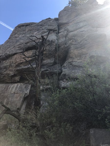 A good view of the crack and the dead tree at the start.
