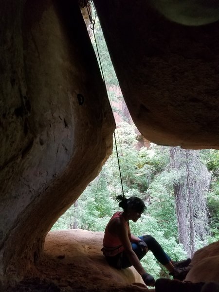 Looking out the roof from the cave belay.