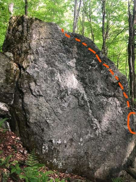 Skinny Finny, V1