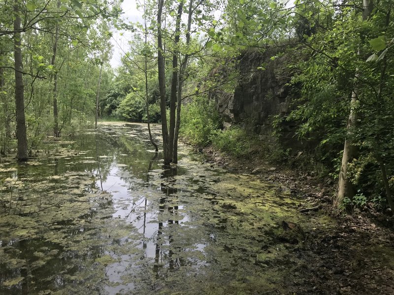 This crag is completely flooded and covered with poison ivy as of June 2020. Might be due to seasonal flooding?