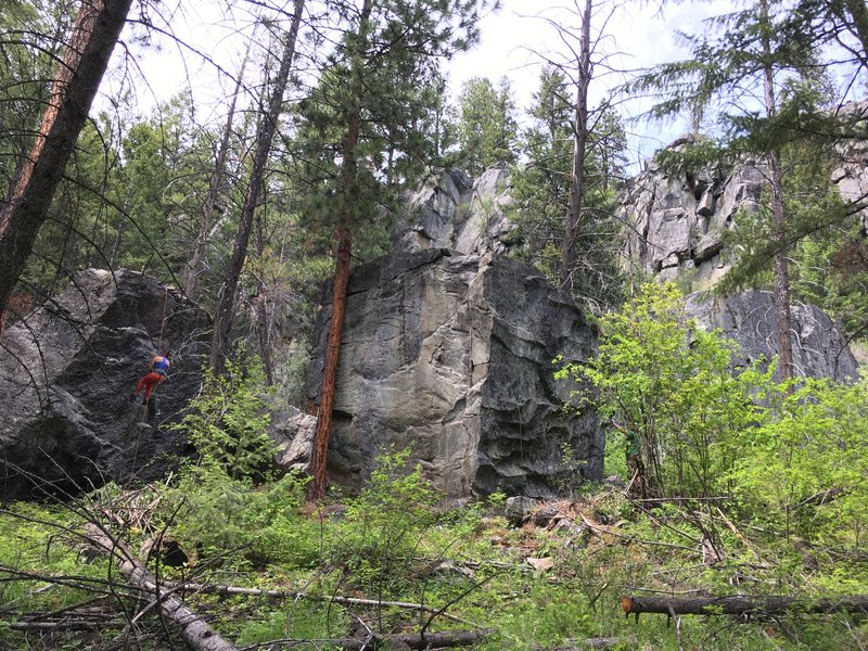 Mario Land! Mushroom Kingdom, Yoshi's Island, and Bowser's Castle