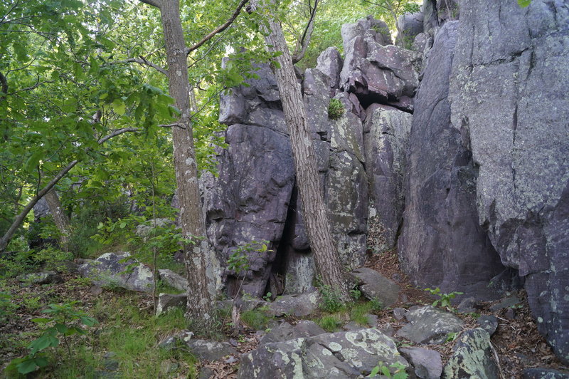 The Wolf group. The access trail comes in from the left, the Howling is obscured by trees in the background.