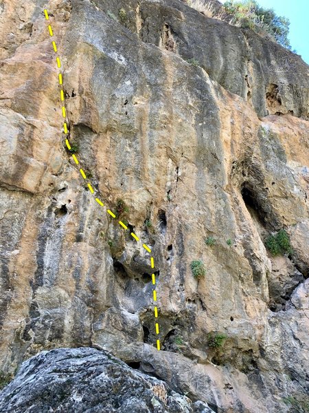El calcetín del César Topo (Bottom)