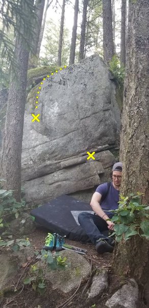 Tree Squeeze Boulder