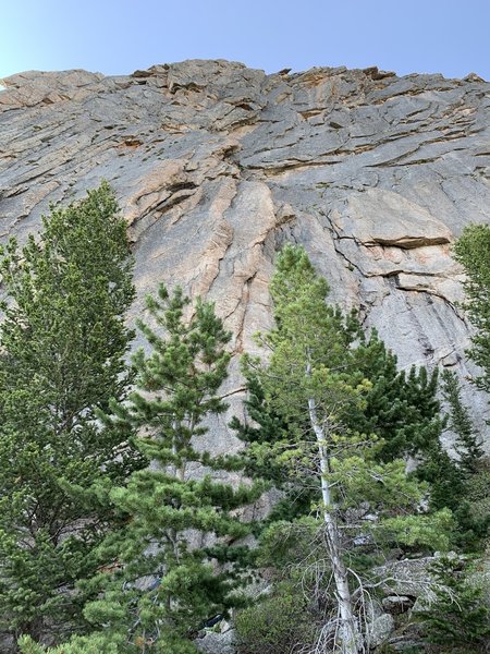 Overlapping, twin cracks mark the start of Center Left Face.