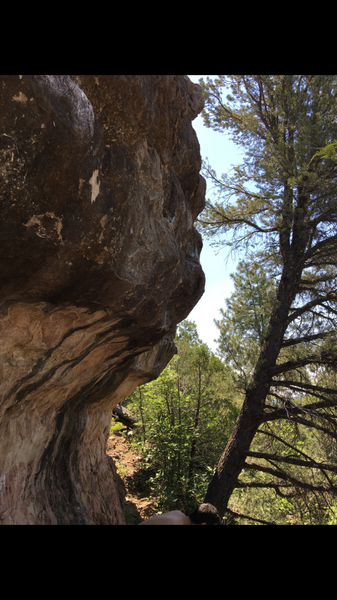 The climb
