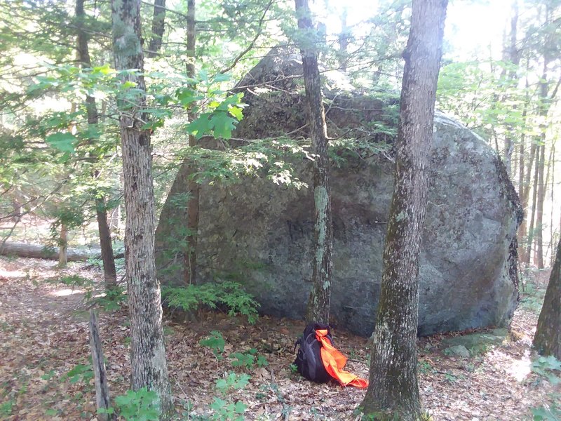 A view of Slab Boulder from the red trail. It's located directly across the trail from the small cliffs in forty caves.