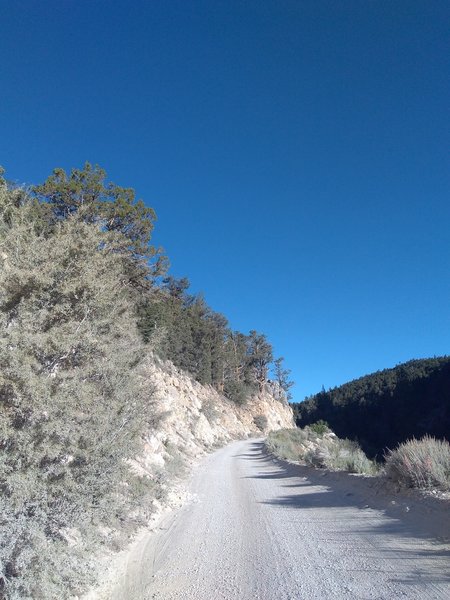 Van Dusen Canyon Road (3N09), Holcomb Valley