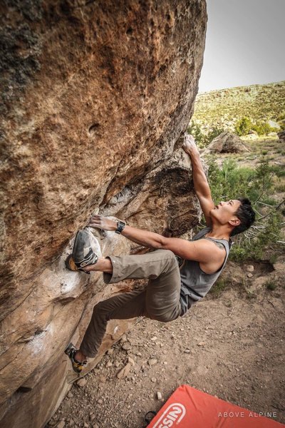 PC: Above Alpine Photography.
